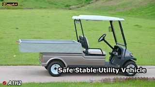 A1H2 シャンパンゴールド 安全性と安定性、長時間走行を実現する電動多目的多目的車です。